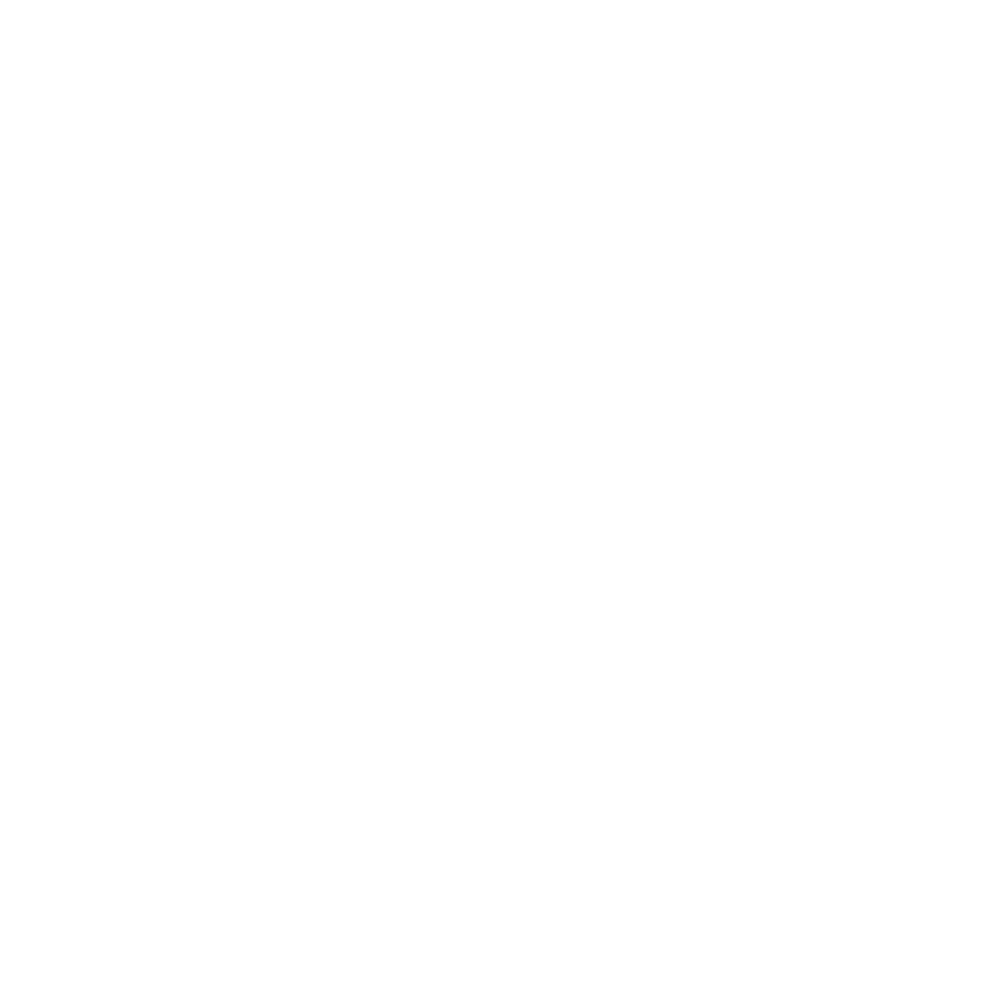 VALNOR Logo
